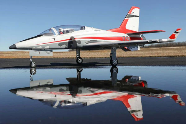 VIPER EDF - 90mm / 1400mm BNF STABILIZZATO - Image 10